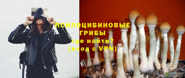 эйфоретик Верея