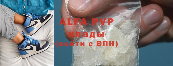 ПСИЛОЦИБИНОВЫЕ ГРИБЫ Вязьма
