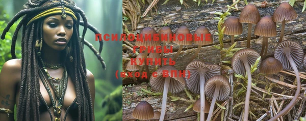 PSILOCYBIN Верхнеуральск