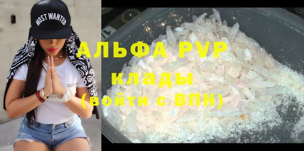 ПСИЛОЦИБИНОВЫЕ ГРИБЫ Вязьма