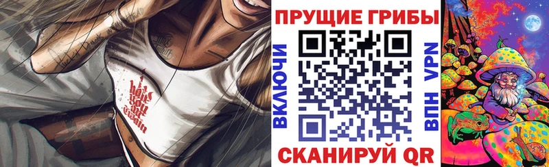 shop наркотические препараты  hydra как войти  Зарайск  Галлюциногенные грибы GOLDEN TEACHER 